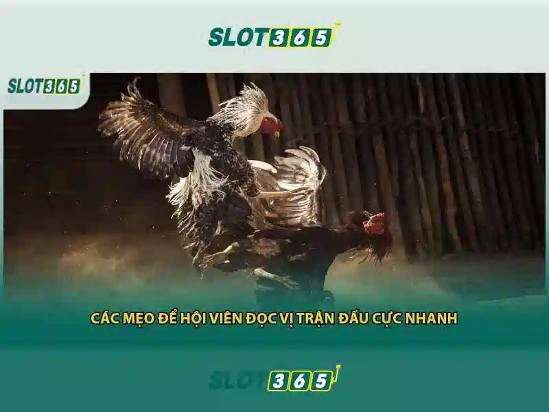 Nguồn gốc và sứ mệnh của slot365 xx vip