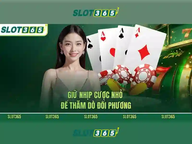 Gợi ý an toàn và câu hỏi thường gặp