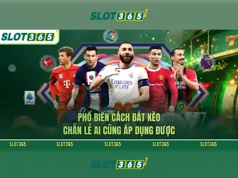 Các sản phẩm và dịch vụ chính: ứng dụng thực tế của slot365 slot