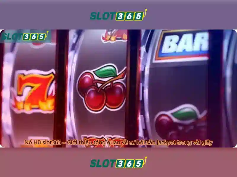 Kết luận và khởi động Slot365
