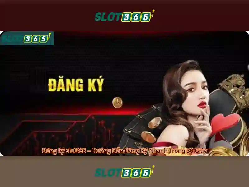 Trải nghiệm người dùng