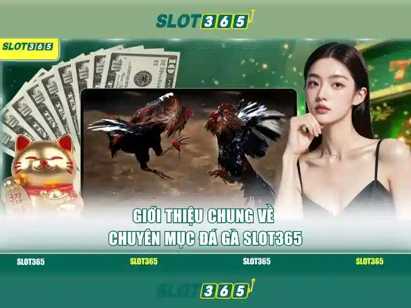 Nguồn gốc và sứ mệnh của tải slot365