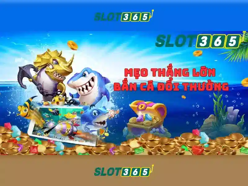 Giao diện và trải nghiệm người dùng