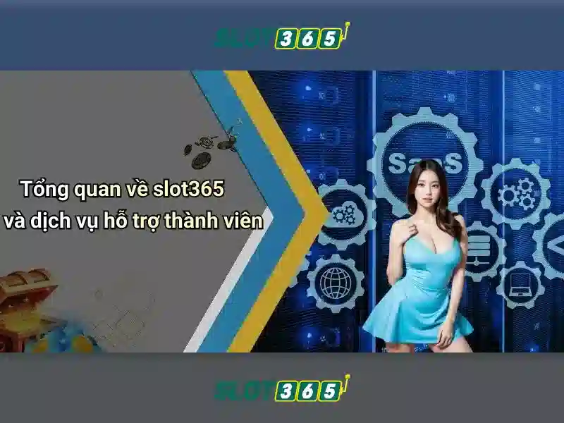 Kết luận về slot365