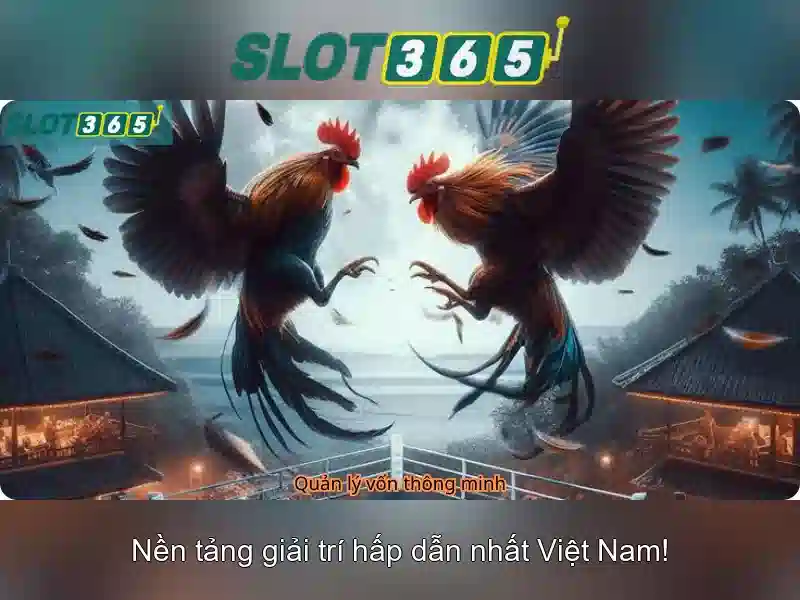 An toàn và thanh toán