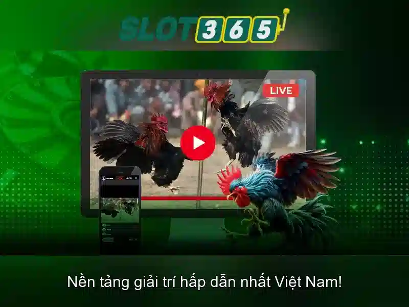 Khám phá các tính năng và thưởng hấp dẫn