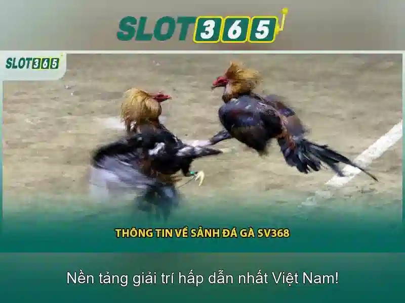Trải nghiệm người chơi