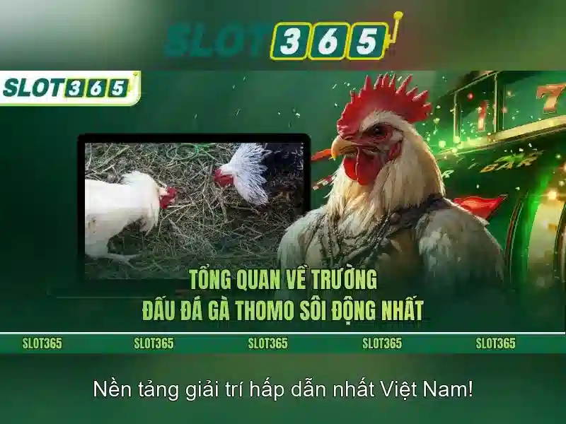 Slot365 là nền tảng chơi slot trực tuyến phổ biến