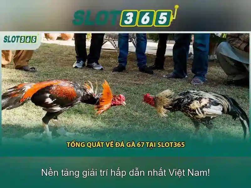 Hướng dẫn đăng ký và giao dịch an toàn