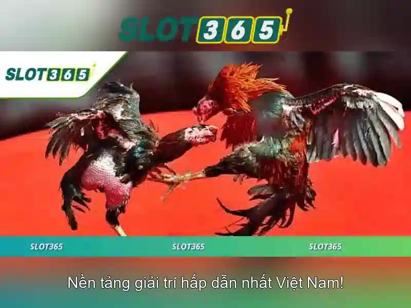 Slot365 - Nền tảng slot trực tuyến uy tín