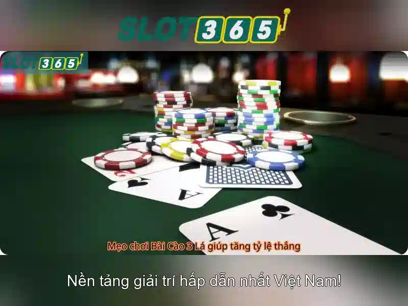 Slot365: Đánh giá tổng quan về sòng bài trực tuyến