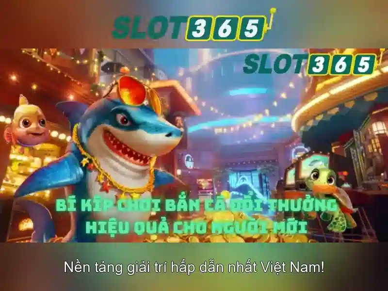 Khuyến mãi, thanh toán và bảo mật