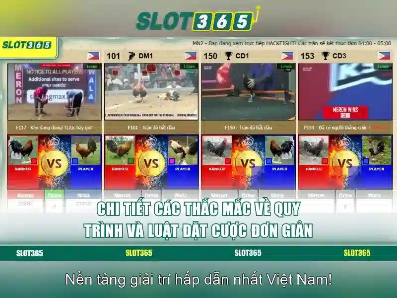 Tính năng nổi bật