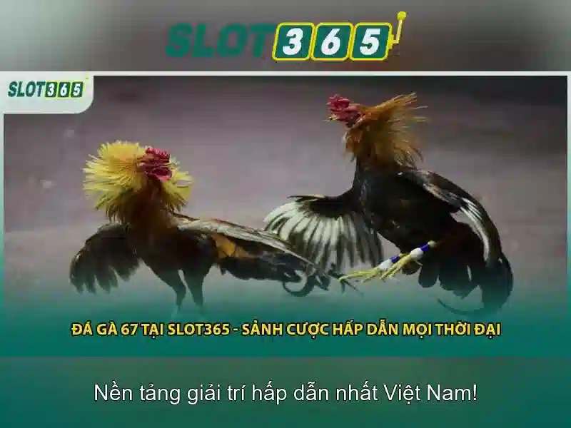 Việt Vị Trong Bóng Đá