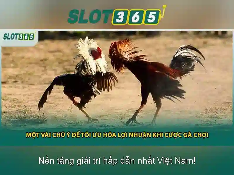 Trải nghiệm chơi slot hợp pháp và công bằng