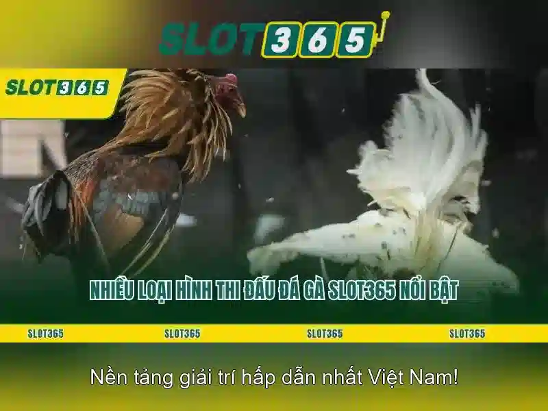 Slot365 - Trò chơi máy xèng trực tuyến phổ biến\n\n<h3 class=