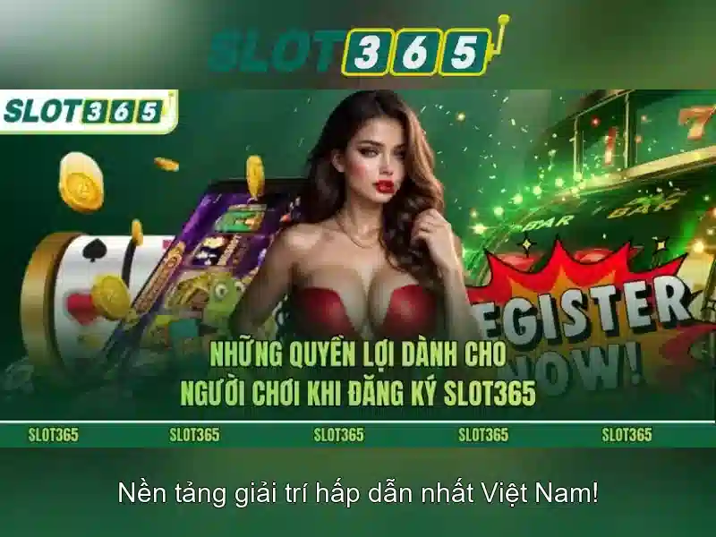 Các tính năng nổi bật