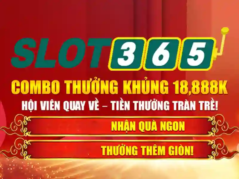 Trải nghiệm người dùng và giao diện