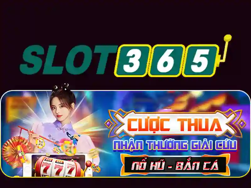 Khuyến mãi và hỗ trợ khách hàng